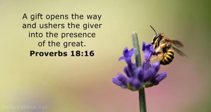 Heal to Heal- Chapter One