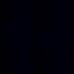 Asi Fx