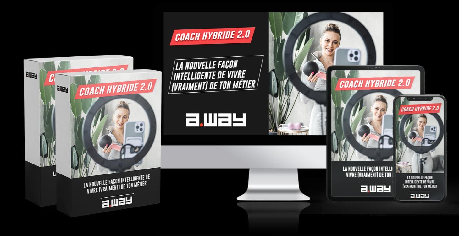 Hybride 2.0 : le nouveau modèle