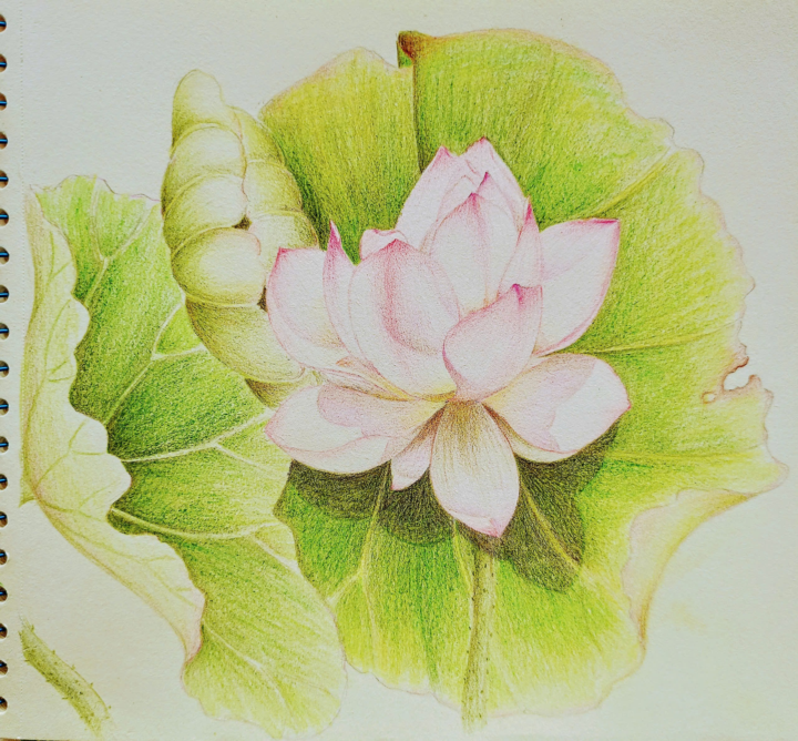 "ANH CÓ ĐIỀU GÌ KHIẾN TÔI MUỐN DẠY ANH?"