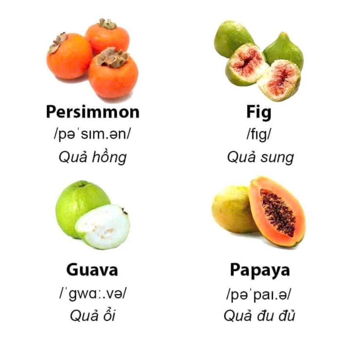 Gia sư Việt: Làm thế nào để truyền cảm hứng chỉ bằng một quả hồng Đà Lạt?
