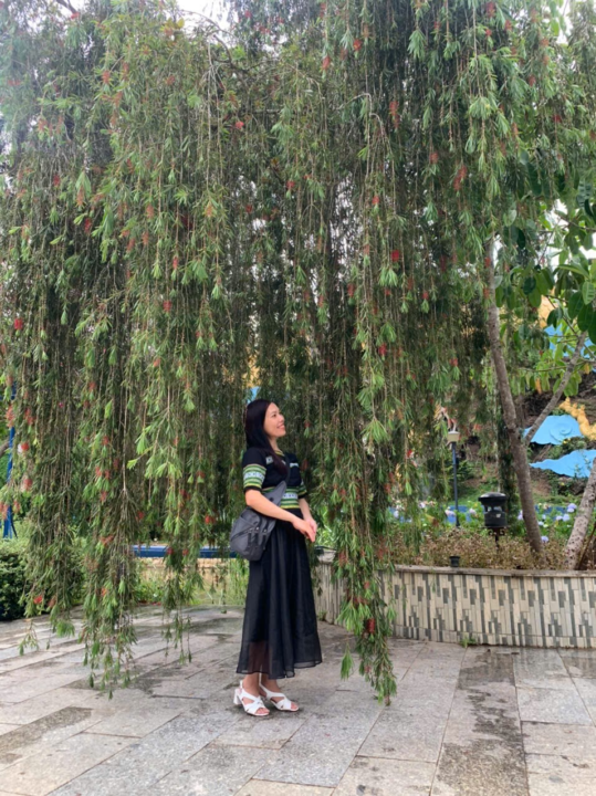 HÀNH ĐỘNG KIÊN TRÌ – TRÁI NGỌT SẼ ĐẾN