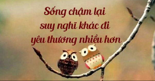 SỐNG CHẬM VÀ CẢM NHẬN ! 