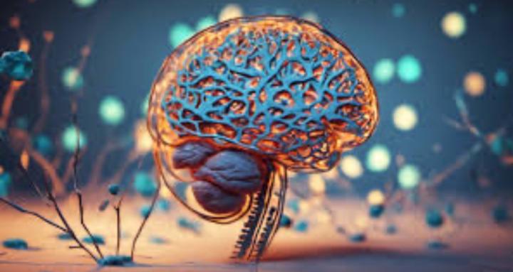 Teenage Brain and Wellness 