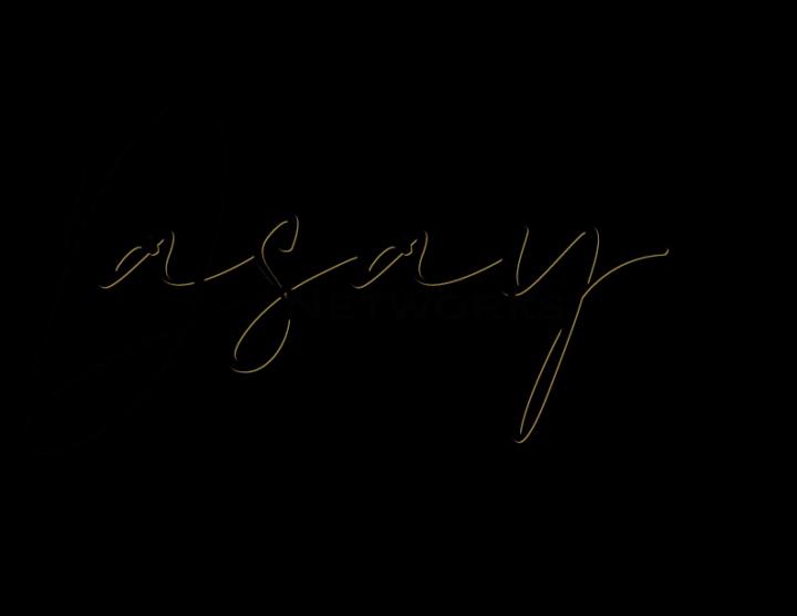 Dasay Networks LLC