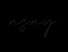 Dasay Networks LLC