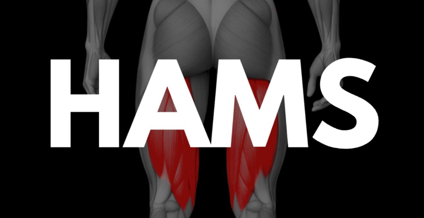 Tutorials: Hamstrings & Lower Leg