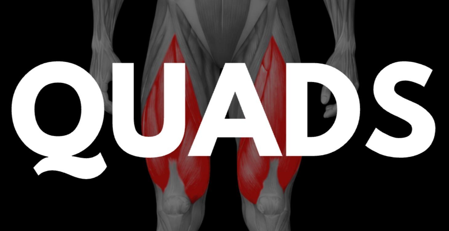 Tutorials: Quads