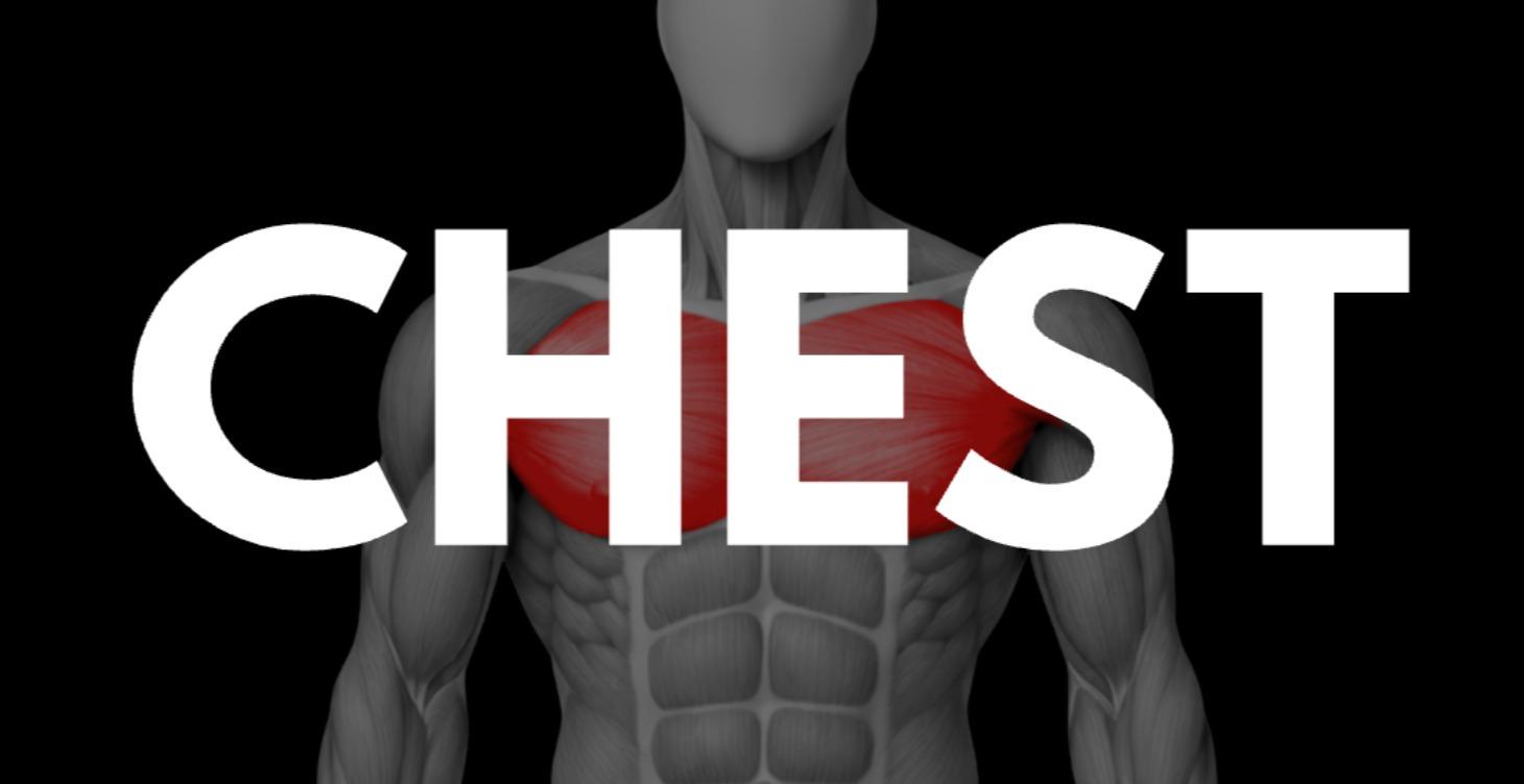 Tutorials: Chest
