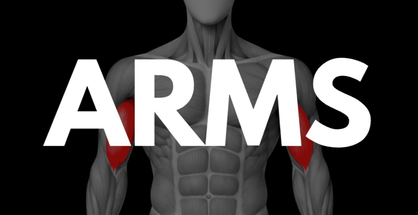 Tutorials: Arms