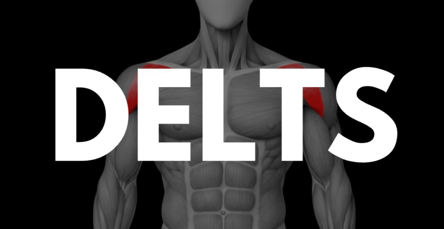 Totorials: Delts