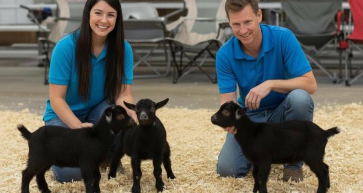 Everything [Purebred] Goats