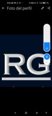 Ronald Gamarra