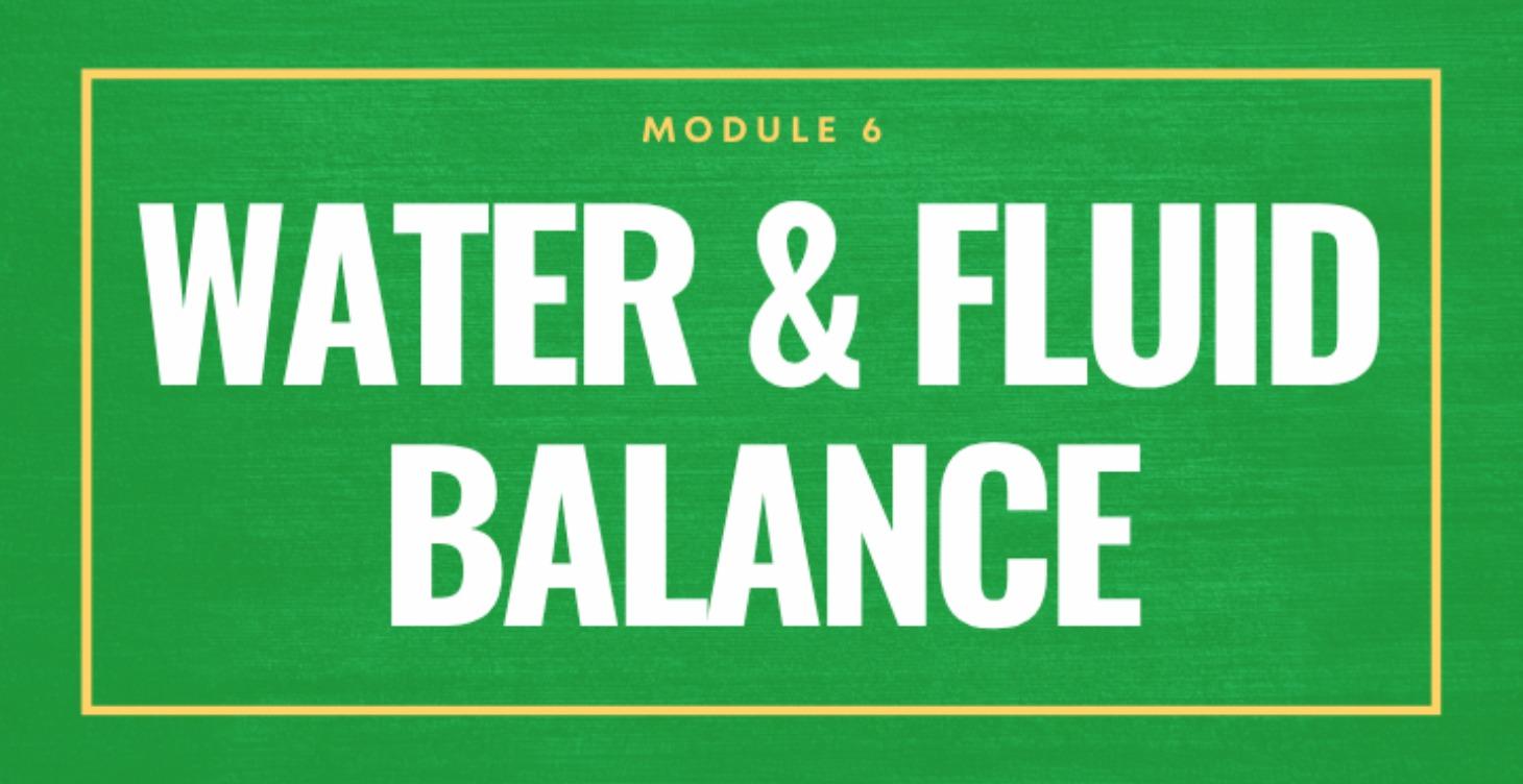 Water & Fluid Balance