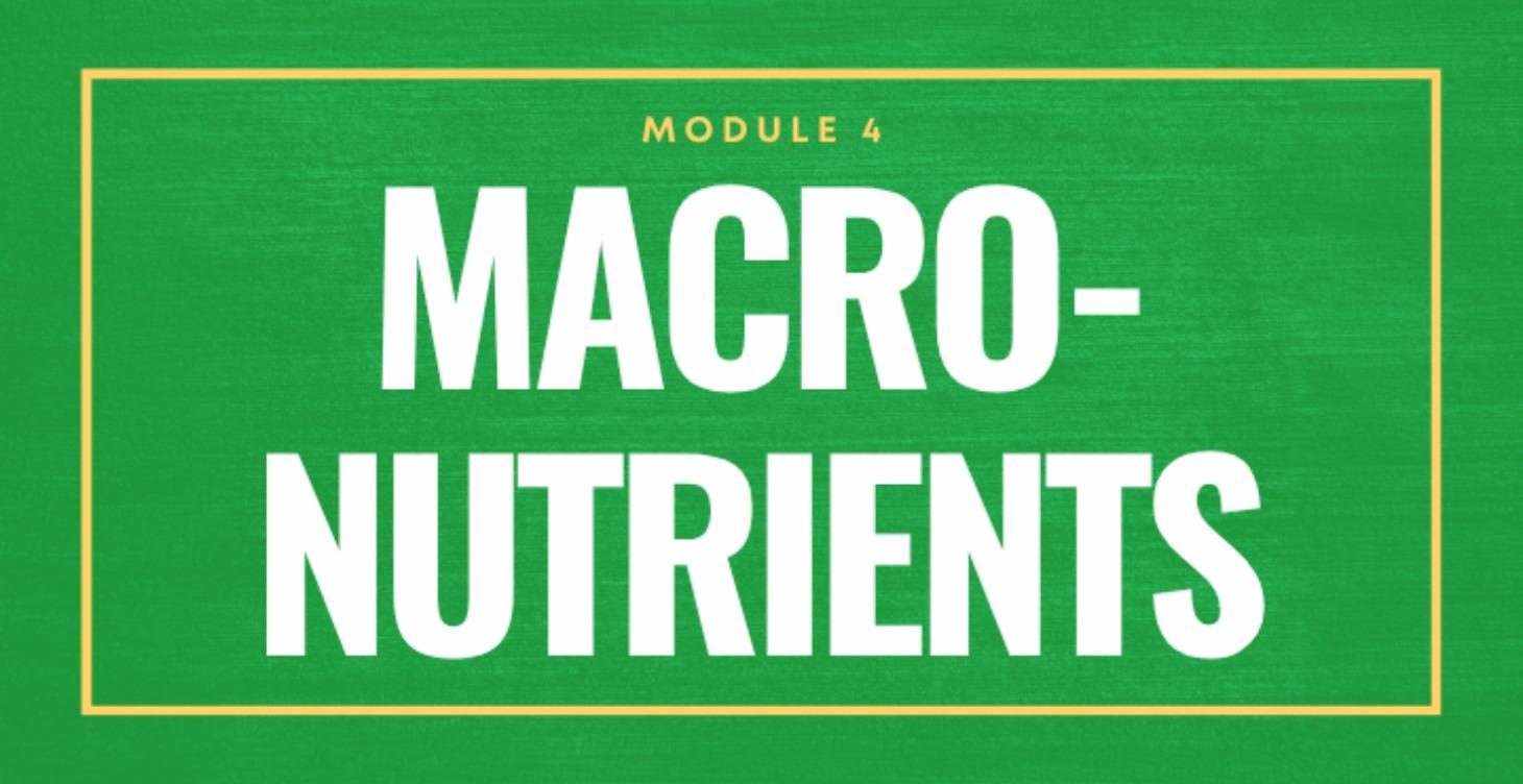 Macronutrients