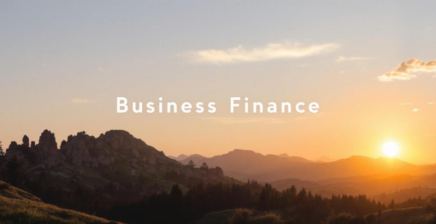 Small Business Finance (Basics)