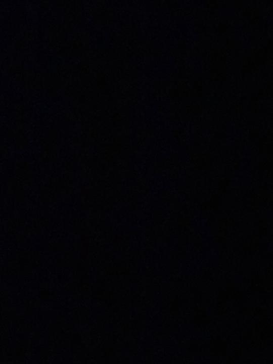 Francesca Salaverria