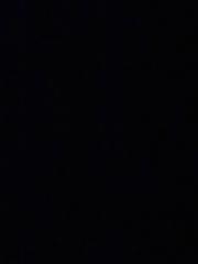 Francesca Salaverria