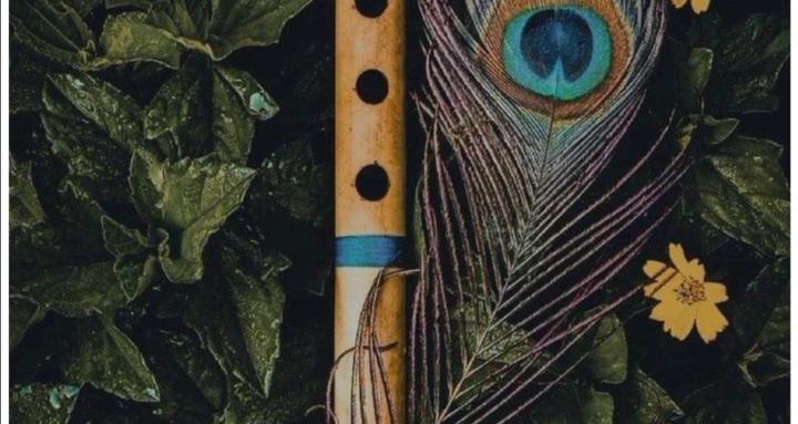 Bhakti Yoga Collective 