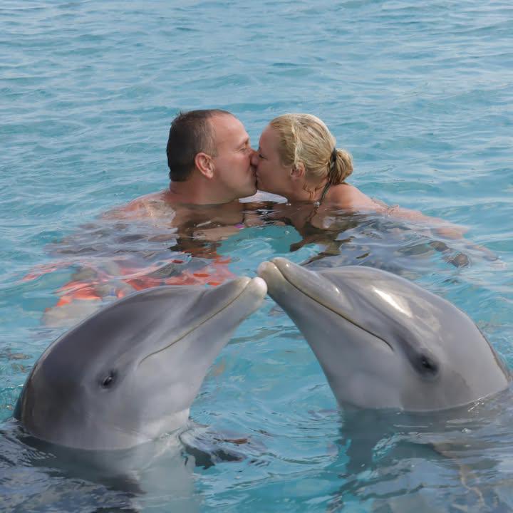 Shirley Van Zoest-Bakker