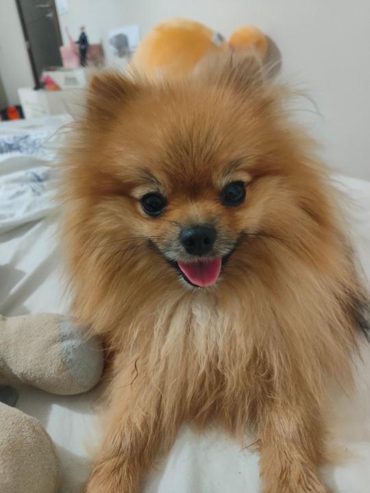 Juan David Granados Crespín