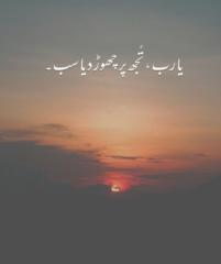 Ayesha Ameen