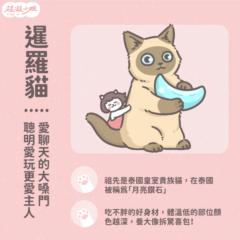 Chin hao Wu