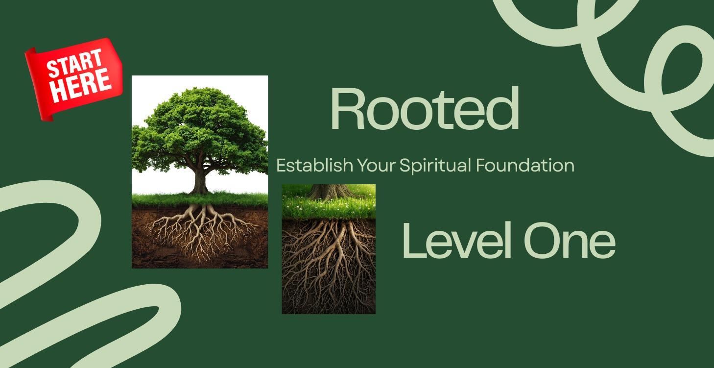Start Here - Rooted (Level One)