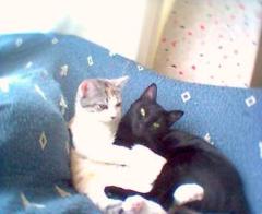 Raquel García delgado