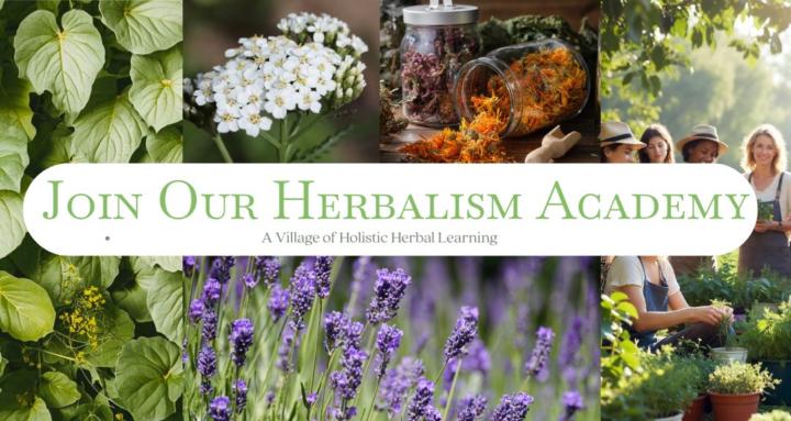 The Humble Apothecary