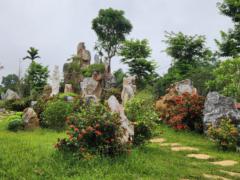 Luyên Lê