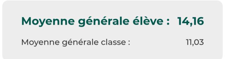 Viser 17