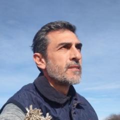 Walter Rabahia