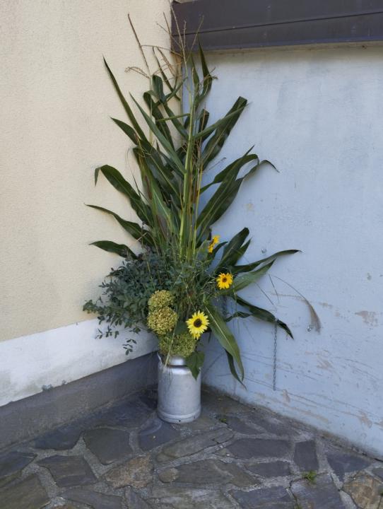 Ildikó Horváthné Bócsi