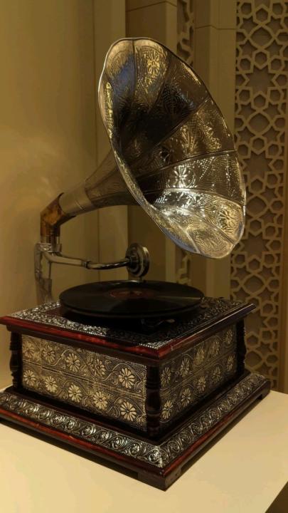 Hangisi daha güzel? 🗳️