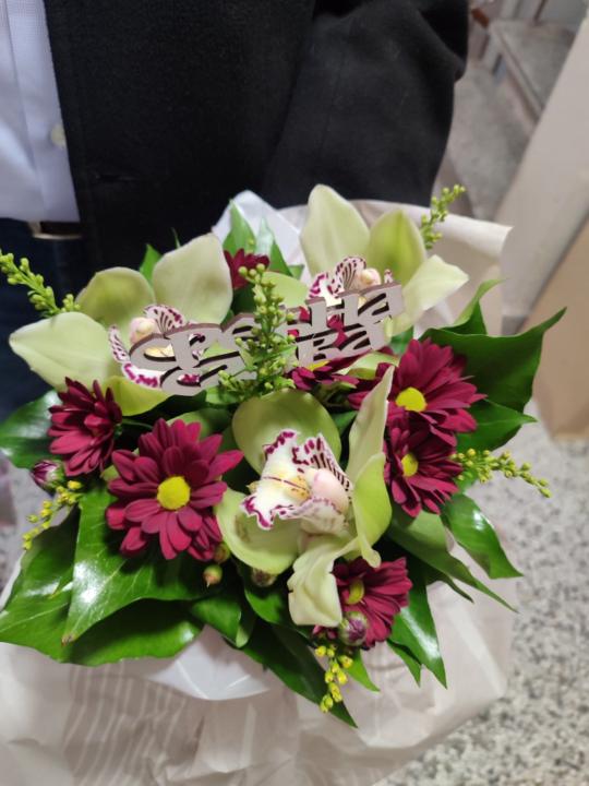 Veronila Seliskar Jekic