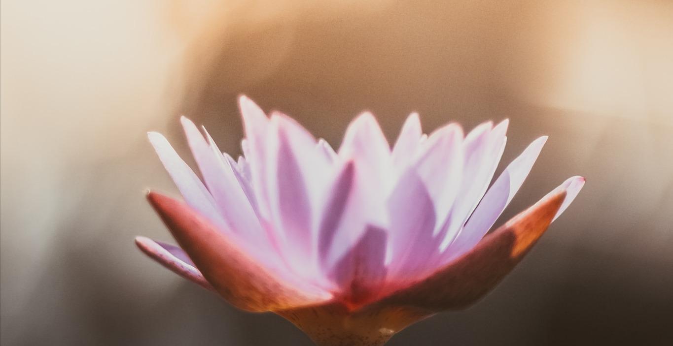 The Three Obstacles to Clear Awareness