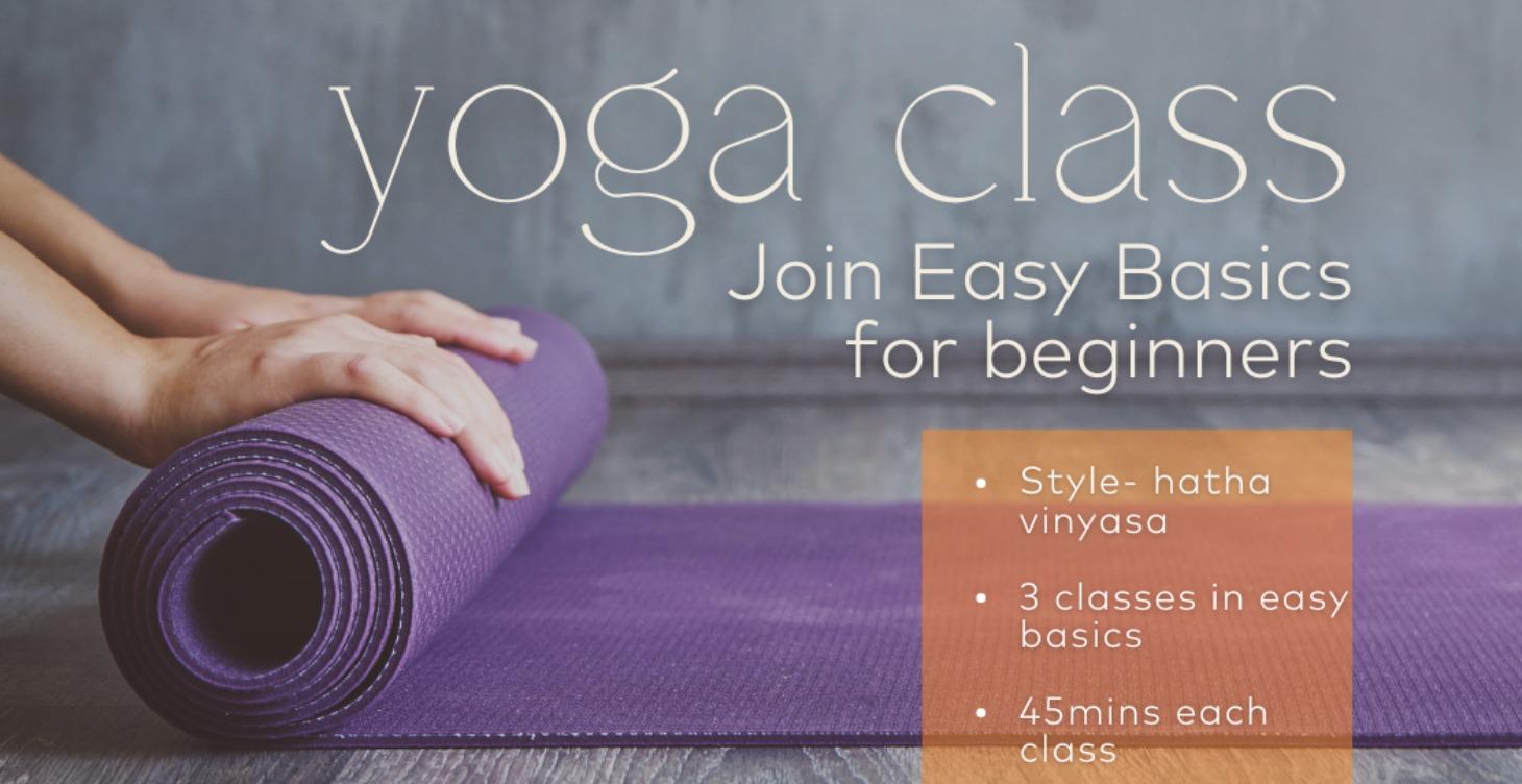 Easy Basics Yoga Classes