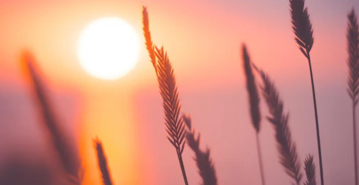 Basic Hatha Yoga Intro Class