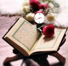 Sadia Shabbir