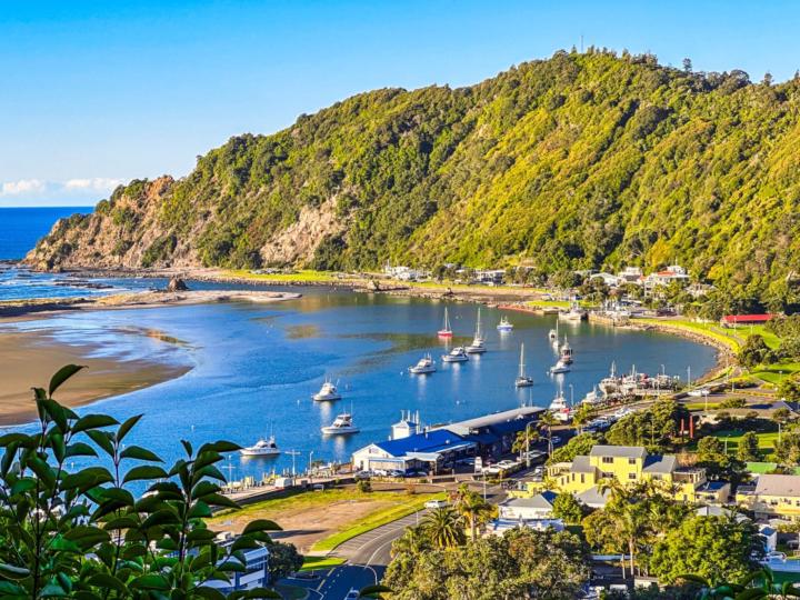 Paiheke Wherewera-McGarvey