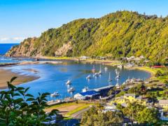 Paiheke Wherewera-McGarvey