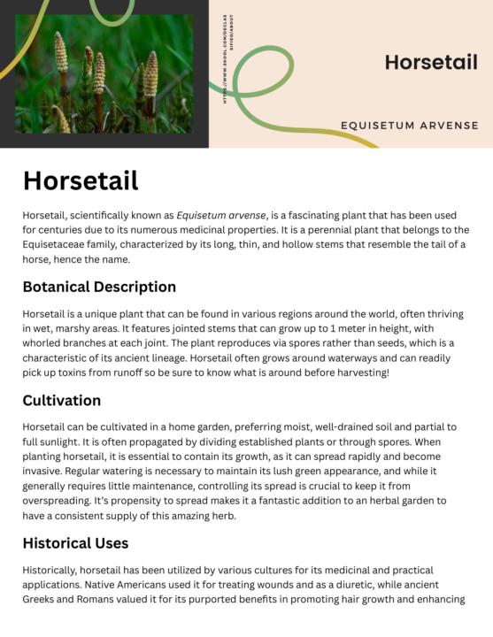 Horsetail