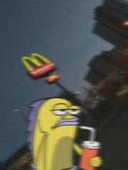 Mate B