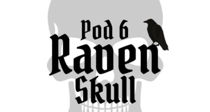 Raven Skull