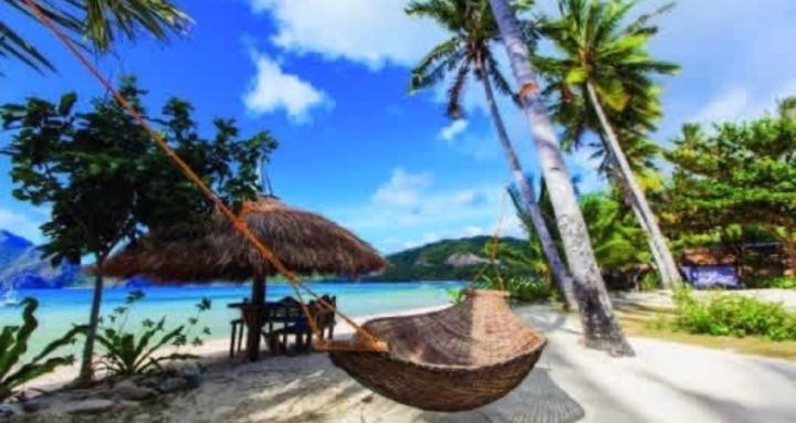 Southern Vibes Travelers