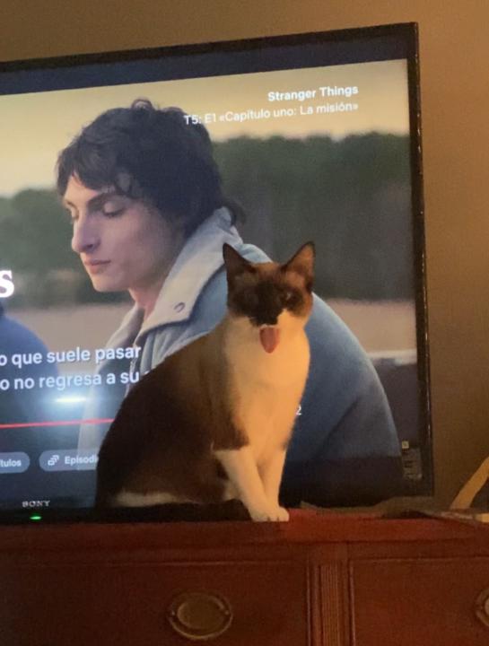 Emiliano García González