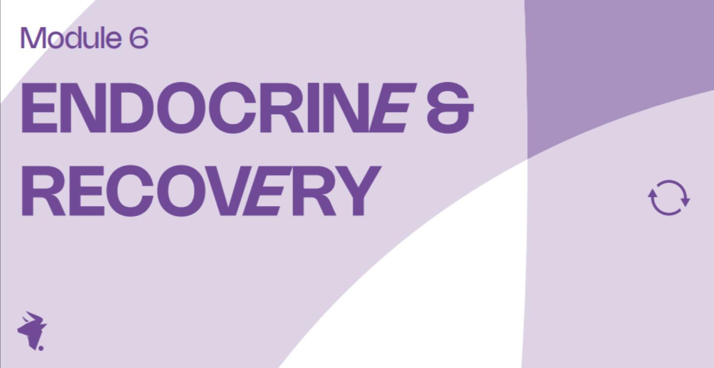 MODULE 6: ENDOCRINE & RECOVERY