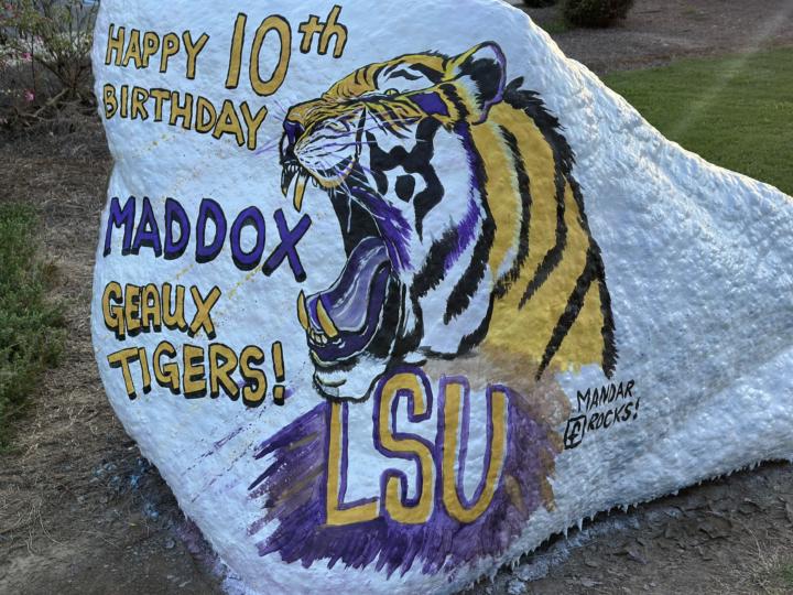 LSU tiger 