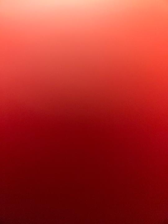 Jalen Rose
